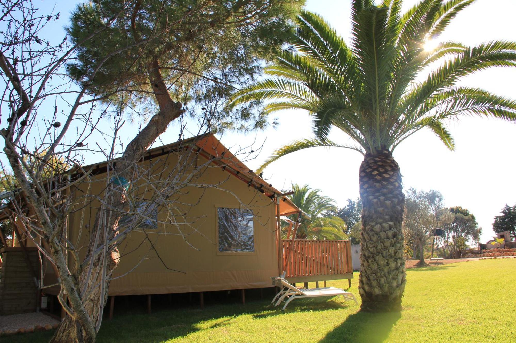 Palmeiras Cottages Mexilhoeira Grande Extérieur photo